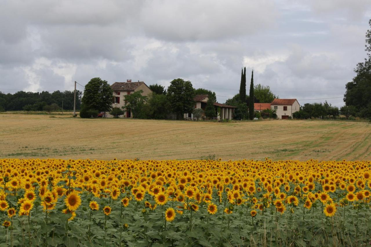Domaine 3 Soleils Bed & Breakfast Labastide-de-Lévis Dış mekan fotoğraf